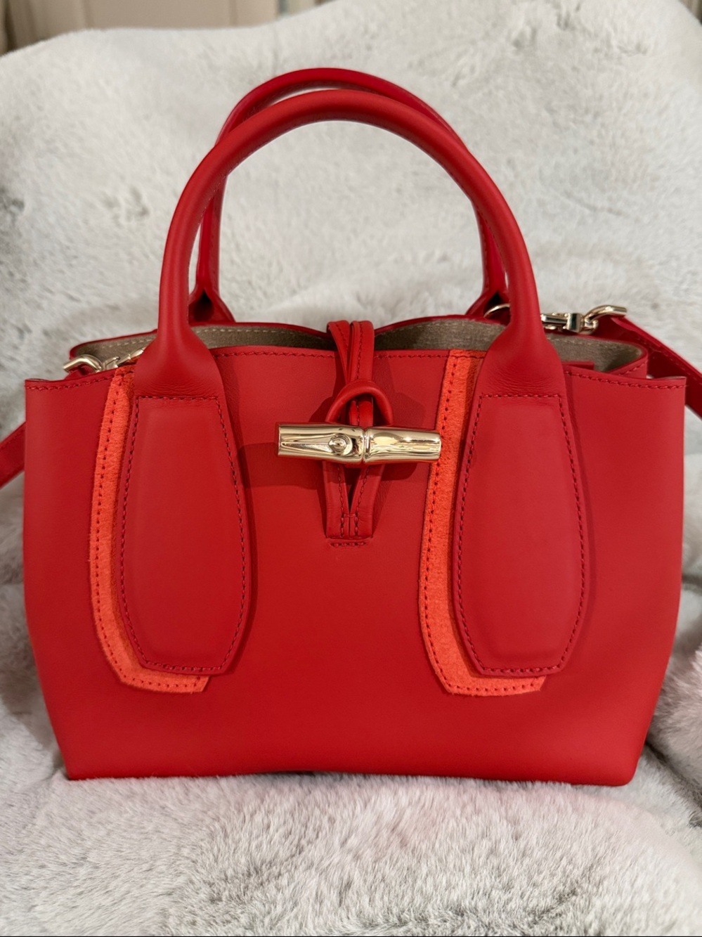 Longchamp Le Roseau Handbag